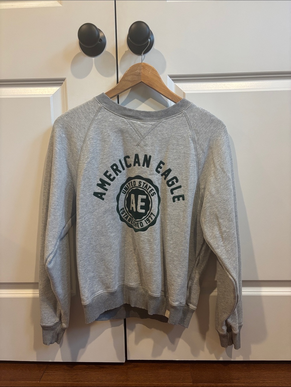 American Eagle Outfitters Grey Crewneck Sweatshirt with Green Logo